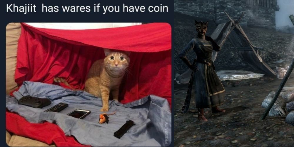 Skyrim: 10 Khajiit contra Memes Argonianos que son demasiado hilarantes