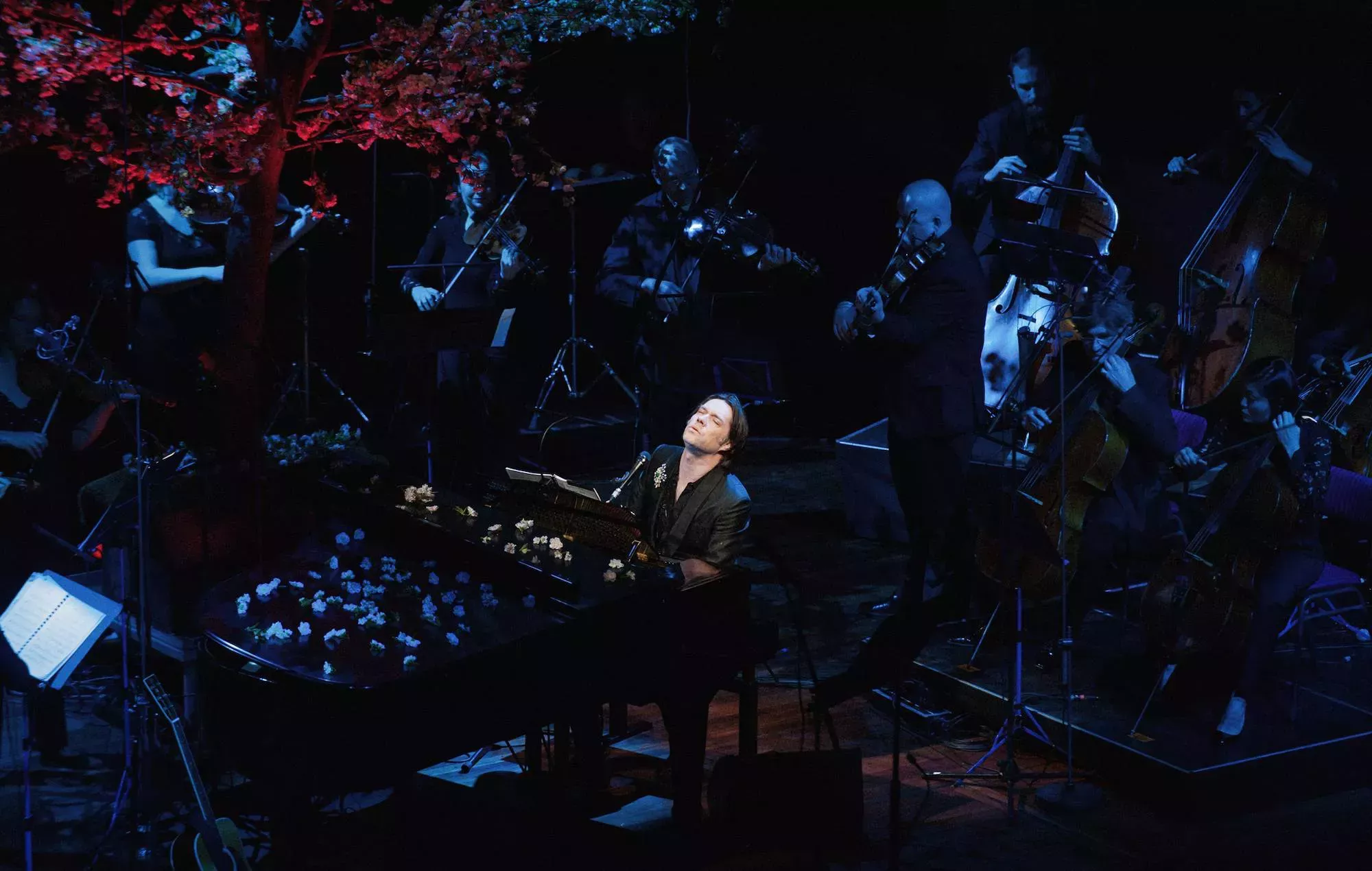 Rufus Wainwright anuncia un nuevo álbum en directo con la Sinfonietta de Ámsterdam