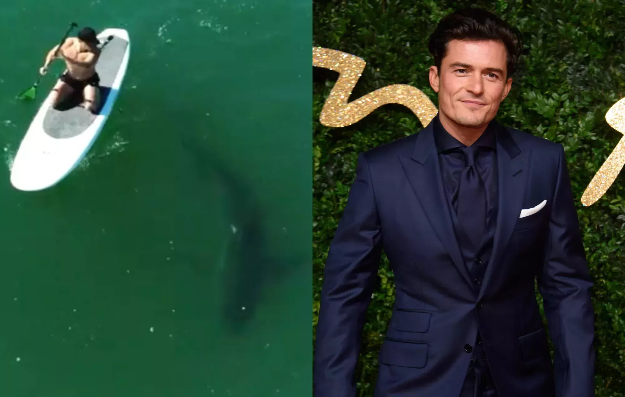 Vea a Orlando Bloom haciendo paddleboarding con un gran tiburón blanco