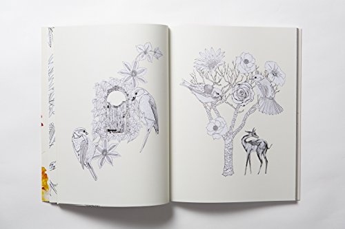 Birdtopia: Coloring Book