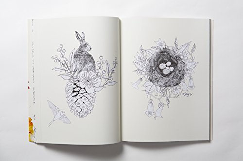 Birdtopia: Coloring Book