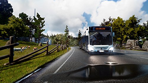 Bus Simulator PS4 [Importación inglesa]