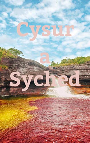 Cysur a Syched (Welsh Edition)