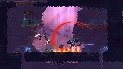 Dead Cells - Nintendo Switch [Importación francesa]