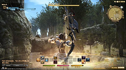 Final Fantasy XIV Starter Edition [PS4] [Importación alemana]