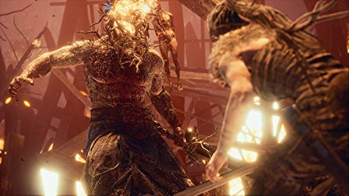 Hellblade: Senua's Sacrifice for PlayStation 4 [USA]