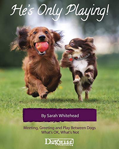 He's Only Playing! Meeting, Greeting and Play Between Dogs. What's OK, What's Not: Meeting, Greeting and Play Between Dogs. What's Ok, What's Not. (English Edition)