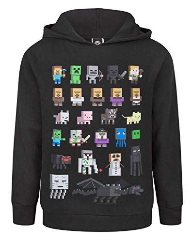 Minecraft Sprites Boy's Black Hoodie (12-13 Years)