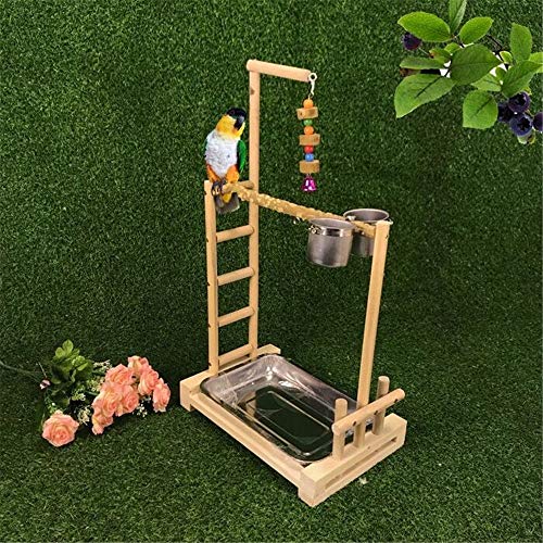 NgMik Parque de Aves Mediano y Grande del Loro del Loro de Madera Maciza Soporte Juguete oscilación de la jerarquía del pájaro Pepper Tree Birds Swing Wood Gym Tabletop Ejercicio Jugar