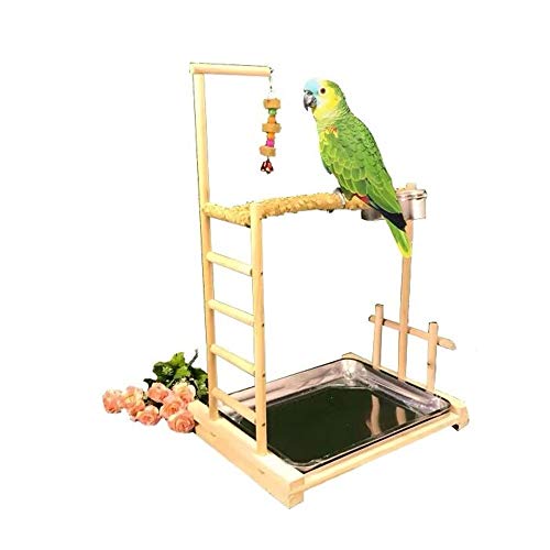 NgMik Parque de Aves Mediano y Grande del Loro del Loro de Madera Maciza Soporte Juguete oscilación de la jerarquía del pájaro Pepper Tree Birds Swing Wood Gym Tabletop Ejercicio Jugar