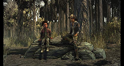 The Walking Dead : The Final Season [Importación francesa]