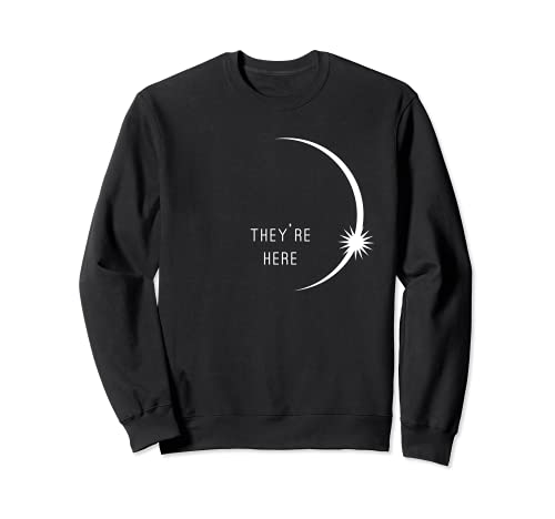 They're Here Space Aliens UFO Extraterrestrials Sudadera