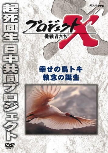 (Documentary) - Project X Challengers Shiawase No Tori Toki Shuunen No Tanjou [Edizione: Giappone] [Italia] [DVD]