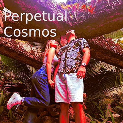 Perpetual cosmos