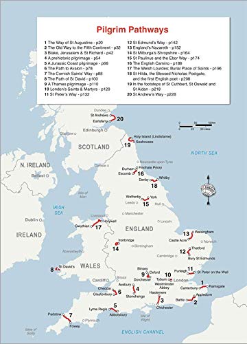 Pilgrim pathways : 1-2 day walks on ancient sacred ways: 1-2 Day Walks on Britain's Ancient Sacred Ways (Pilgrim Pathways: 1-2 day walks on Britain's Ancient Sacred Ways)