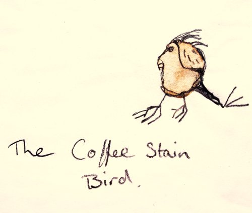 The Coffee Stain Bird (English Edition)