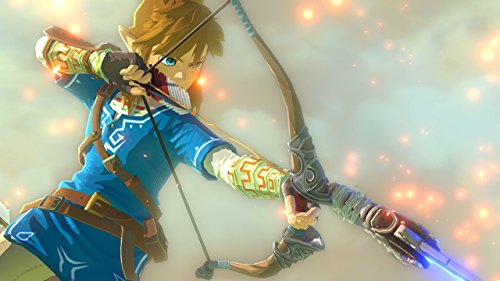 The Legend of Zelda : Breath of the Wild [Importación francesa]