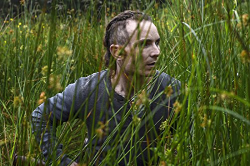 The Survivalist [DVD]