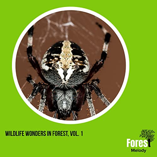 Wildlife Wonders in Forest, Vol. 1