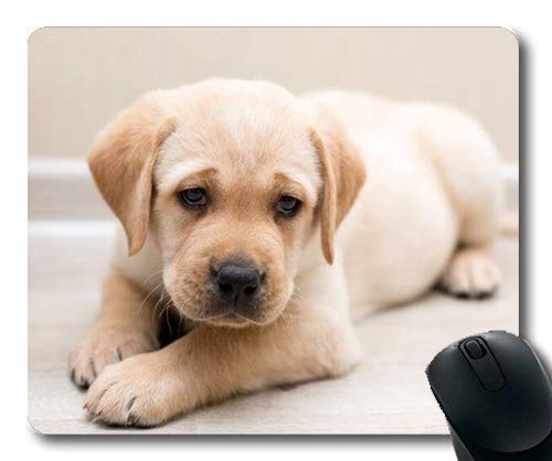 Yanteng Alfombrilla de ratón para Juegos, Perros Mascotas de Cachorros Alfombrillas para ratón, Animales Gatita de Perro Perrito de Golden Retriever Mousepad Rubber YT 045