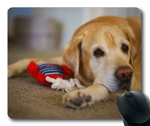 Yanteng Perro Puppy Mousepad Mousepad, Animales Gatito Perro Golden Retriever Puppy Mousepad Caucho YT 039