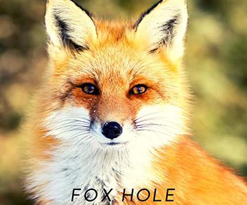 fox hole