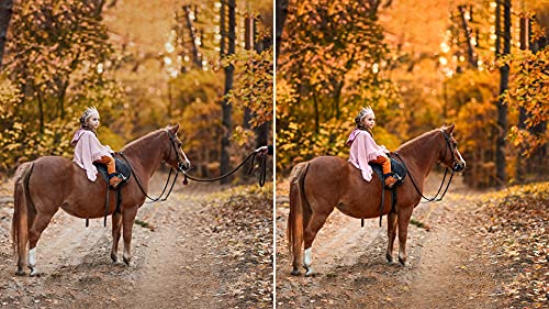 Adobe Photoshop Elements 2022 & Premiere Elements 2022 1 Dispositivo 1 Usuario Código de activación Mac enviado por email