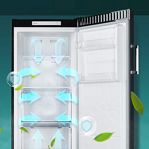 CHiQ CSD206NE4 Congelador vertical con refrigeración por aire 206L, Total No Frost, Color Inox oscuro, Altura 1.70m, Silencioso 43dB, Compresor 12 años de garantía