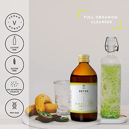 DETOX. Potente Fórmula Natural. Té Verde, Diente de León, Guaraná, Papaya. 10 Plantas Naturales de Rápida Absorción y Eficiencia. Activación y Equilibrio. 500ml. VEGANO. CE. N2 Natural Nutrition