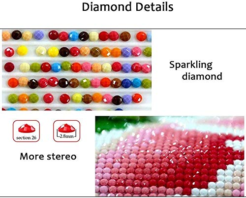 DIY 5D pintura de diamante punto cruz Kit números Hu Yanglin diamond painting adultos Completa Crystal Rhinestone Bordado Manualidades para hogar decoración Pared Lienzo Regalos G3258 25x30cm