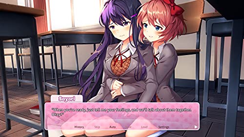 Doki Doki Literature Club Plus NSW