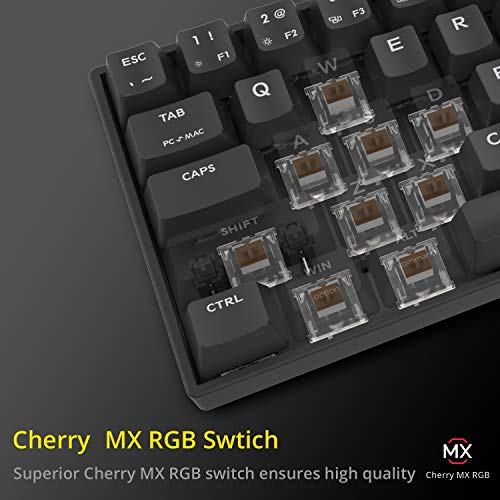 DREVO Calibur V2 TE 60% Teclado Mecánico para Juegos, Interruptor Cherry MX Marrón, Distribución QWERTY US, Compacto de 71 Teclas, Compatible con PC/Mac, USB C, Negro