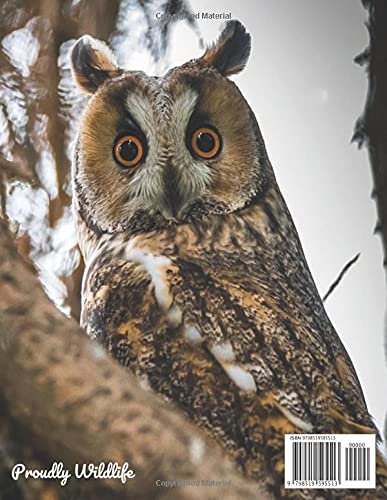 Long Eared Owl 2022-2023 2-Year Planner: June-December 2021 Monthly Spread Included planner 24 Month Calendar Monthly Agenda Schedule Organizer ... Gifts with Owl Eagle Osprey Falcon Birds