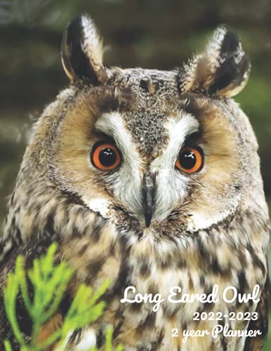 Long Eared Owl 2022-2023 2-Year Planner: June-December 2021 Monthly Spread Included planner 24 Month Calendar Monthly Agenda Schedule Organizer ... Gifts with Owl Eagle Osprey Falcon Birds