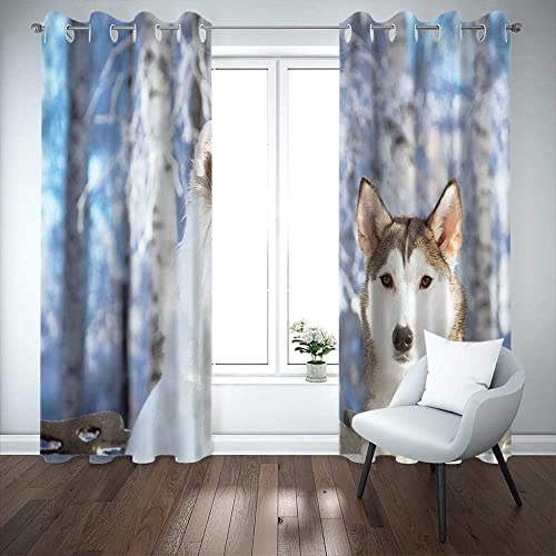 LWXBJX Opacas Cortinas Dormitorio - Lobo Perro Animal - Impresión 3D Aislantes de Frío y Calor 90% Opacas Cortinas - 200 x 160 cm - Salon Cocina Habitacion Niño Moderna Decorativa