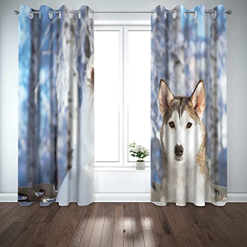 LWXBJX Opacas Cortinas Dormitorio - Lobo Perro Animal - Impresión 3D Aislantes de Frío y Calor 90% Opacas Cortinas - 200 x 160 cm - Salon Cocina Habitacion Niño Moderna Decorativa