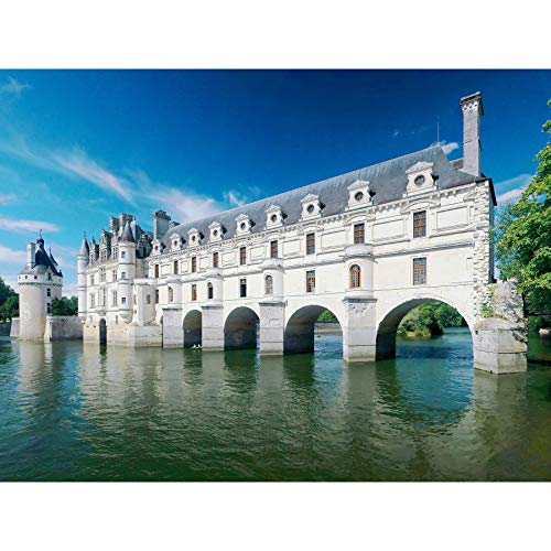 Ra-smit Panorama Chateau Chenonceau Francia - Póster grande para pared, papel grueso, 45,7 x 60,9 cm