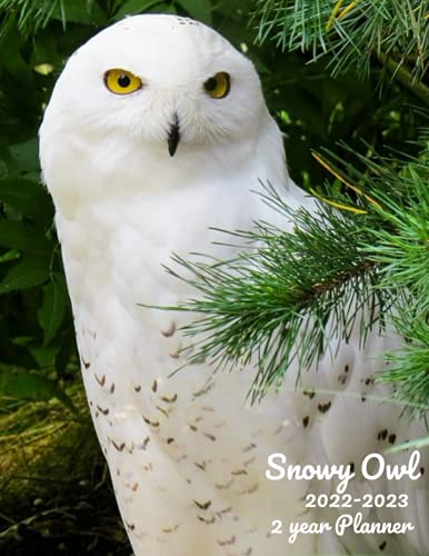 Snowy Owl 2022-2023 2-Year Planner: June-December 2021 Monthly Spread Included planner 24 Month Calendar Monthly Agenda Schedule Organizer 2022-2023 ... Gifts with Owl Eagle Osprey Hawk Falcon Birds