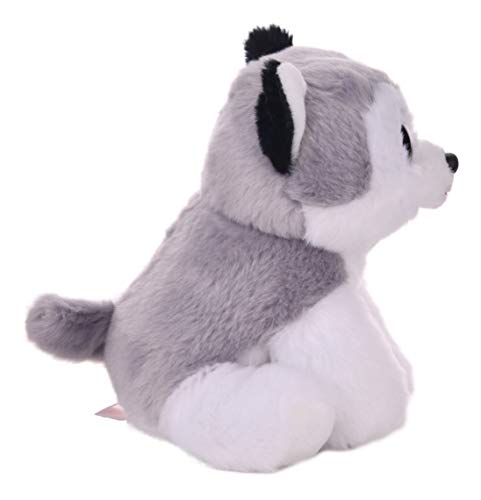 TY - Beanie Babies Buff, peluche husky, 15 cm (United Labels Ibérica 42183TY) , Modelos/colores Surtidos, 1 Unidad