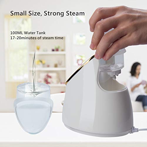 Vaporizador Facial Profesional Sauna Facial Vaporizador Wolady 100ML Mayor Capacidad Menor Tamaño Spa Facial Vapor Térmico Nano Spray Ionic Humidifier Piel Hidratante Limpieza Profunda Facial Steamer