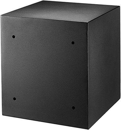 Amazon Basics - Caja fuerte para casa, 30 l