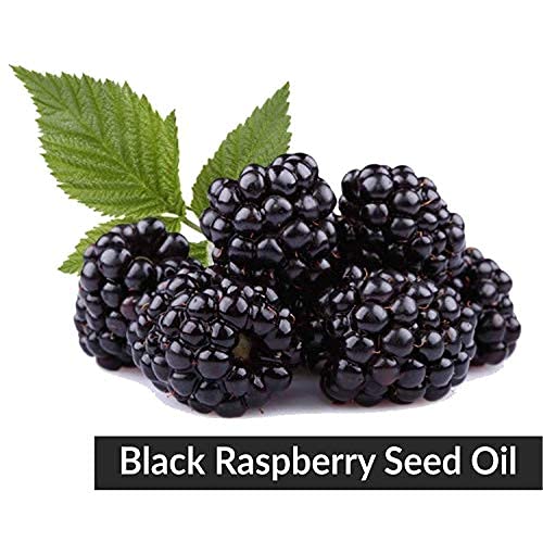 Black Raspberry Seed Oil (Rubus occidentalis) 100% Natural Pure Undiluted Uncut Carrier Oil 100ml