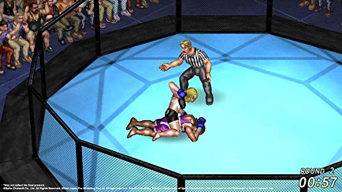 Fire Pro Wrestling World (PS4)