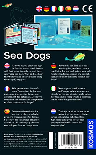 KOSMOS-Sea Dogs- Urzeitkrebse selbst züchten Juego de experimentos para niños con Instrucciones multilingües (DE, EN, FR, IT, ES, NL), Multicolor (616779)