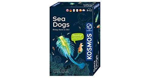 KOSMOS-Sea Dogs- Urzeitkrebse selbst züchten Juego de experimentos para niños con Instrucciones multilingües (DE, EN, FR, IT, ES, NL), Multicolor (616779)