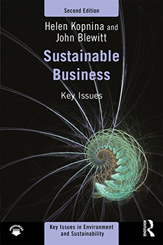 Sustainable Business: Key Issues (Key Issues in Environment and Sustainability) (English Edition)