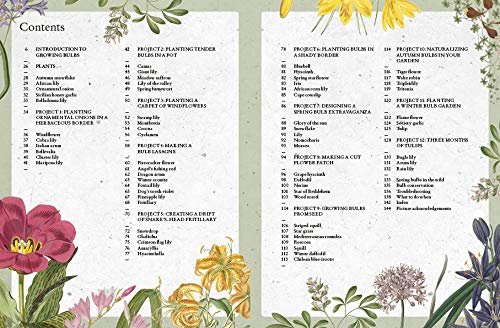 The Kew Gardener's Guide to Growing Bulbs: The art and science to grow your own bulbs (Kew Experts)