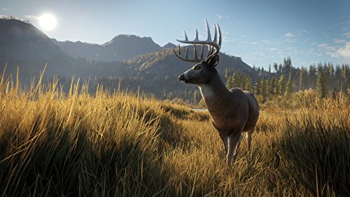 theHunter: Call of the Wild - PlayStation 4 [Importación alemana]