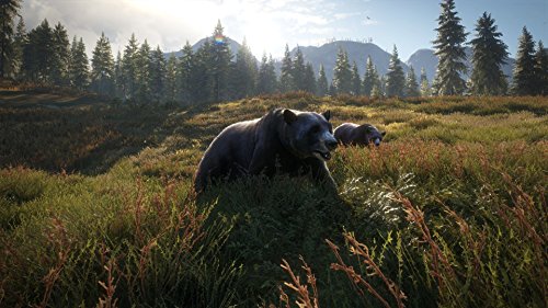 theHunter: Call of the Wild - PlayStation 4 [Importación alemana]