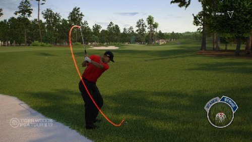 Tiger Woods PGA Tour 13 [Importación inglesa]